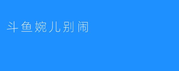 斗鱼老师婉儿谈到什么是重要的