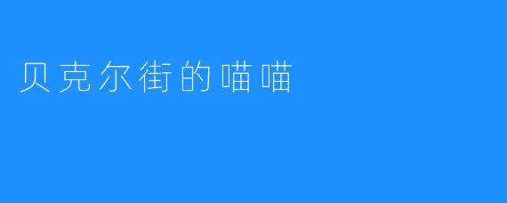 《贝克尔街上的喵喵》