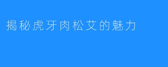 揭秘虎牙肉松艾的魅力