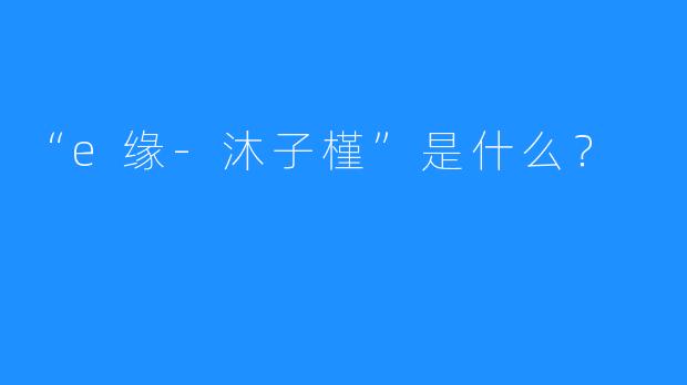 “e缘-沐子槿”是什么？