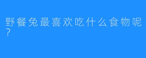 野餐兔最喜欢吃什么食物呢？