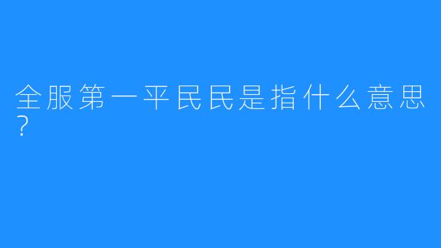 全服第一平民民是指什么意思？