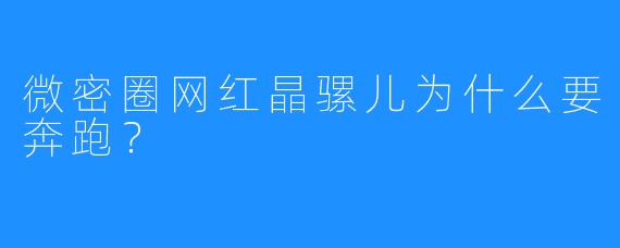 微密圈网红晶骡儿为什么要奔跑？