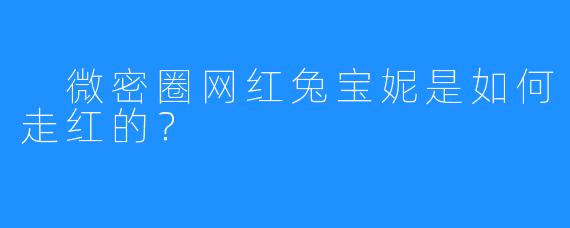 微密圈网红兔宝妮是如何走红的？