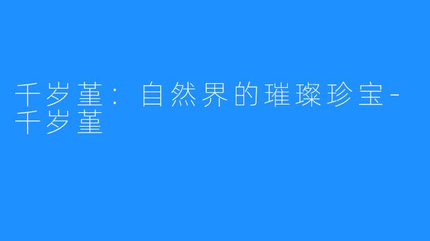 千岁堇:自然界的璀璨珍宝-千岁堇