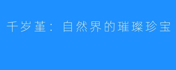 千岁堇:自然界的璀璨珍宝