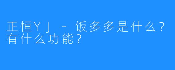 正恒YJ-饭多多是什么？有什么功能？
