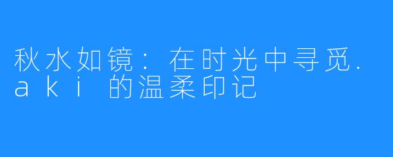 秋水如镜:在时光中寻觅.aki的温柔印记