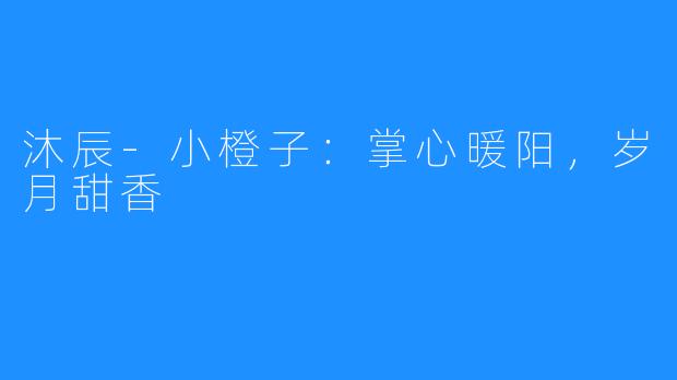 沐辰-小橙子：掌心暖阳，岁月甜香