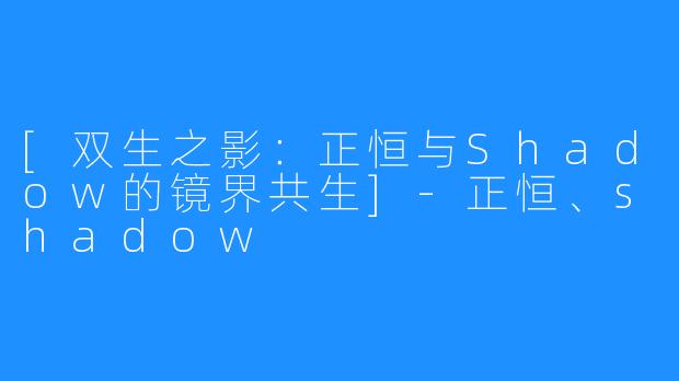[双生之影：正恒与Shadow的镜界共生]-正恒、shadow