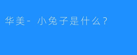华美-小兔子是什么？