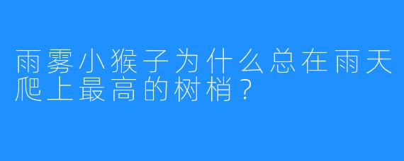 雨雾小猴子为什么总在雨天爬上最高的树梢？