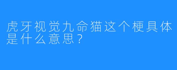 虎牙视觉九命猫这个梗具体是什么意思？