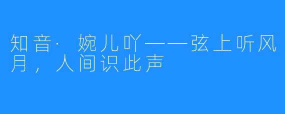 知音·婉儿吖——弦上听风月,人间识此声