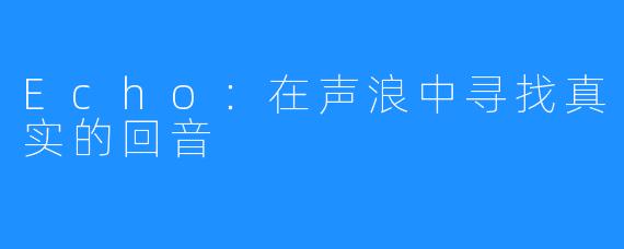 Echo：在声浪中寻找真实的回音