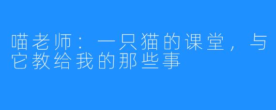 喵老师：一只猫的课堂，与它教给我的那些事